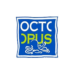 Octopus design